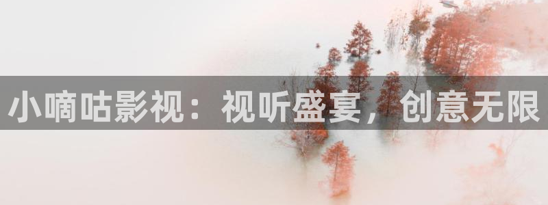 浮力国产影院：小嘀咕影视：视听盛宴，创意无限