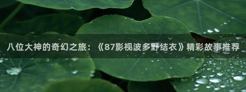 浮力影院国产限制：八位大神的奇幻之旅：《87影视波多野结衣》精彩故事推荐
