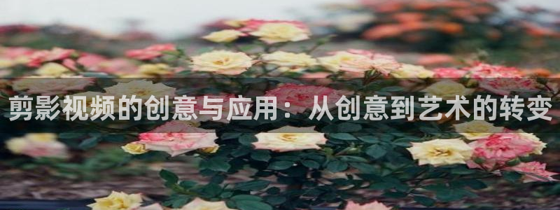 91浮力影院：剪影视频的创意与应用：从创意到艺术的转变