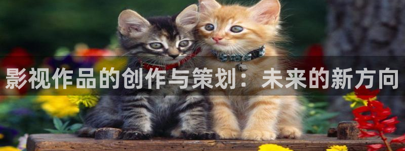 91浮力影院：影视作品的创作与策划：未来的新方向