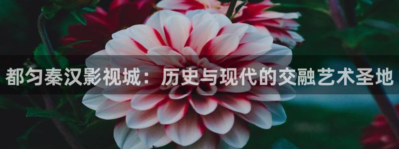 浮力影院久久91：都匀秦汉影视城：历史与现代的交融艺术圣地