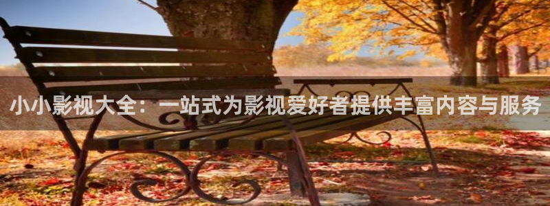 欧美第3页浮力影院：小小影视大全：一站式为影视爱好者提供丰富内容与服务