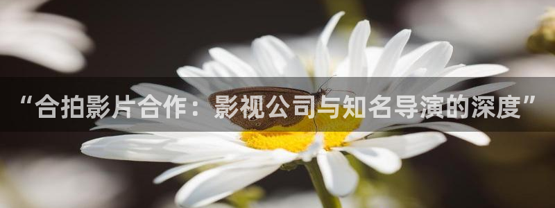 浮力影院①线：“合拍影片合作：影视公司与知名导演的深度”